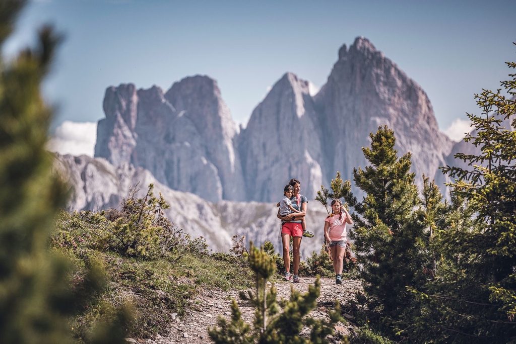 Wandern Plose Dolomiten